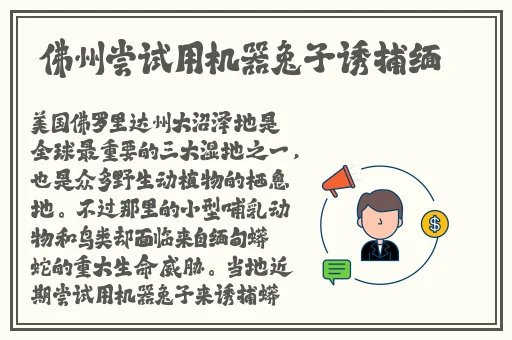 日本三级黄线在线播放